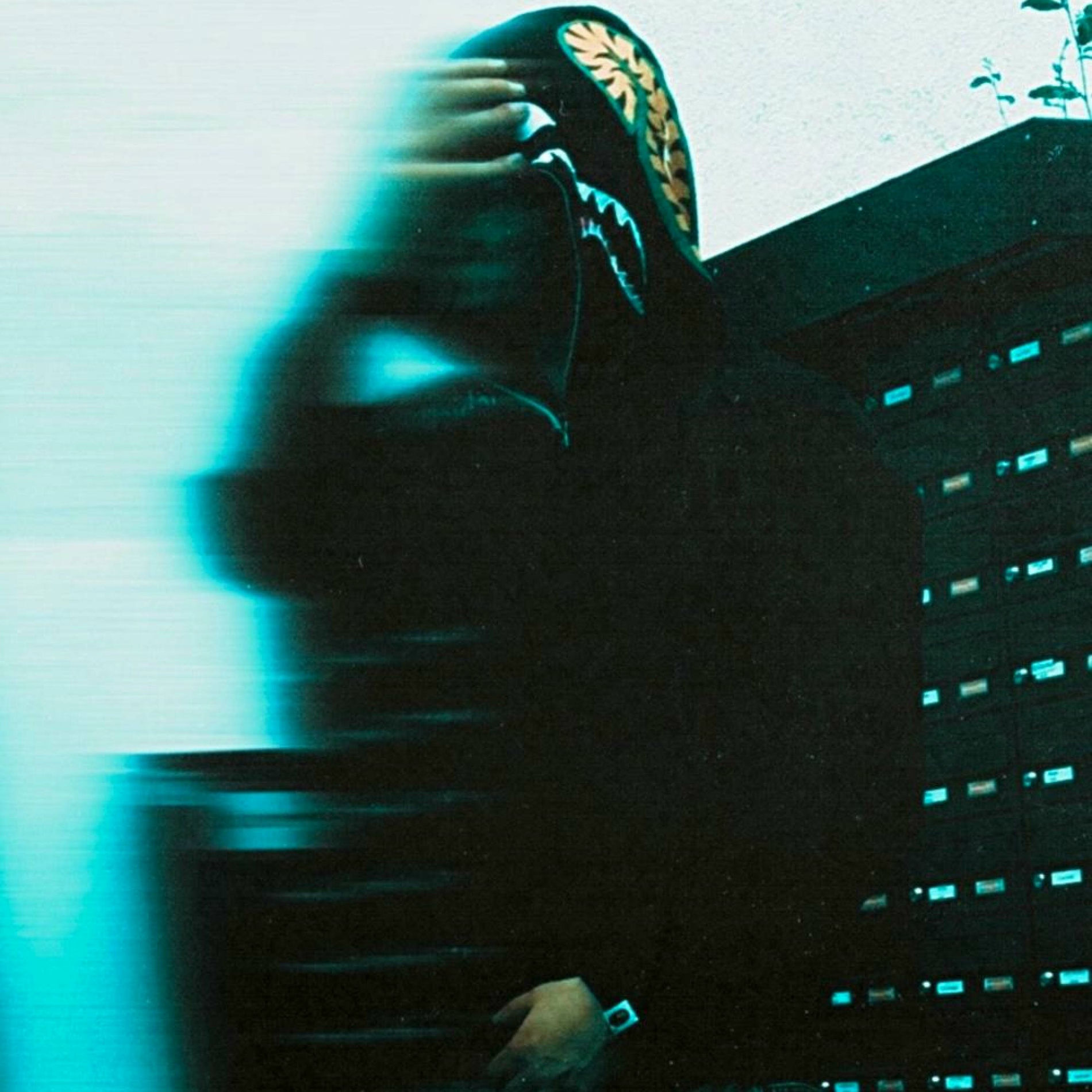 Album cover of auf eis gelegt (feat. Sin Davis)