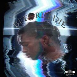 Cover of Before I Die