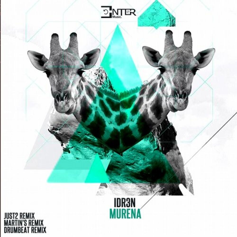 Picture of Murena