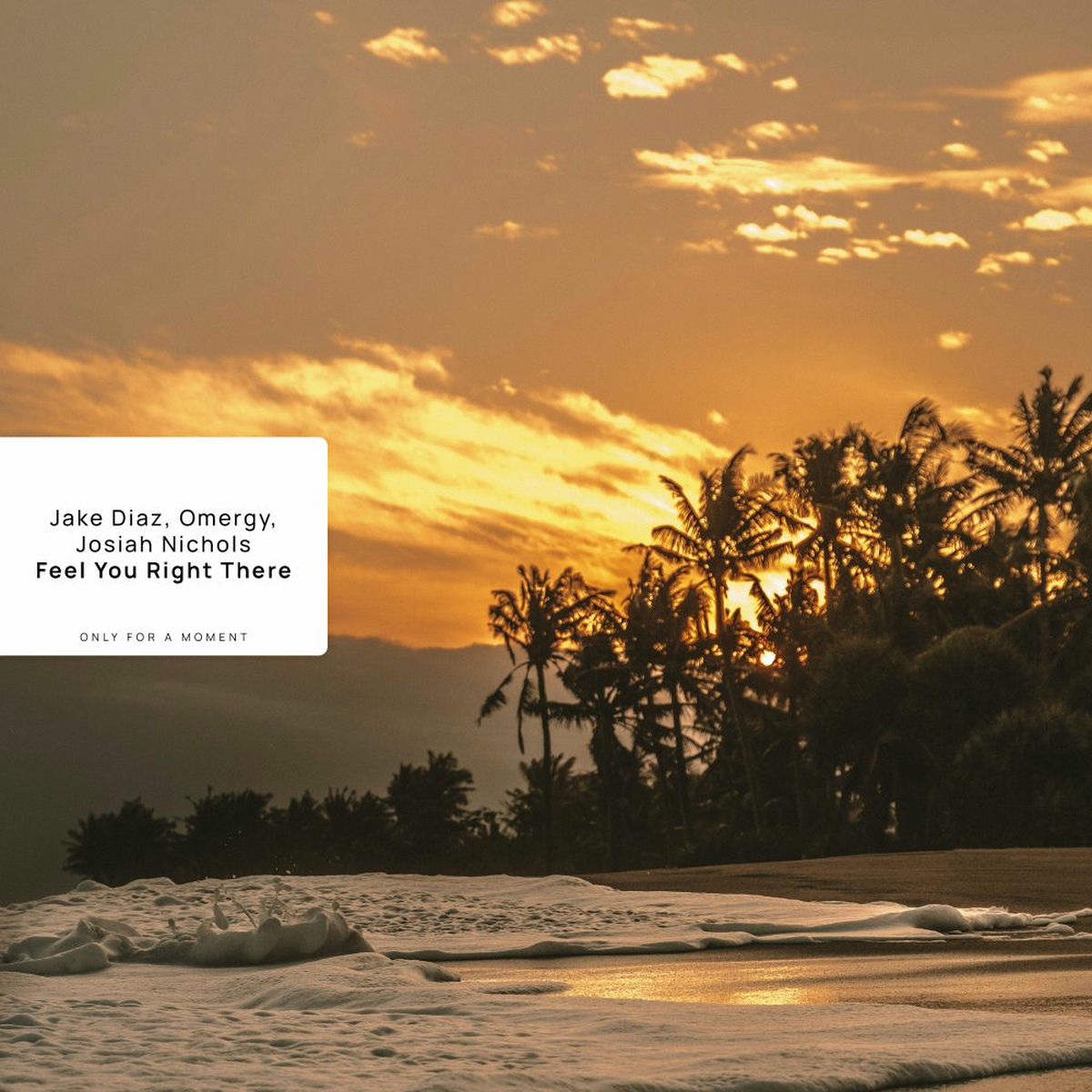 Album cover of Feel You Right There