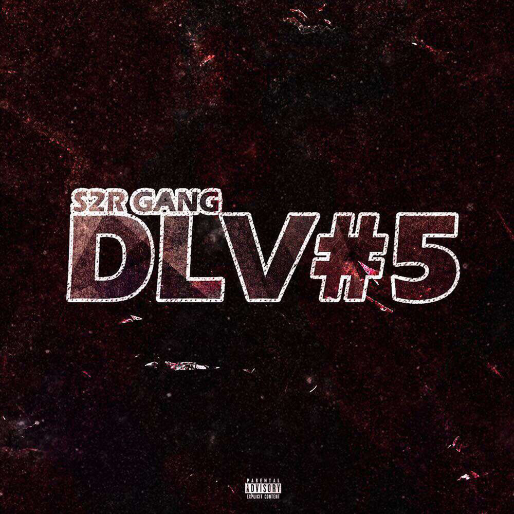 Picture of DLV #5 Règlement