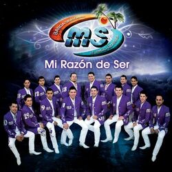 Cover of Mi Razón De Ser