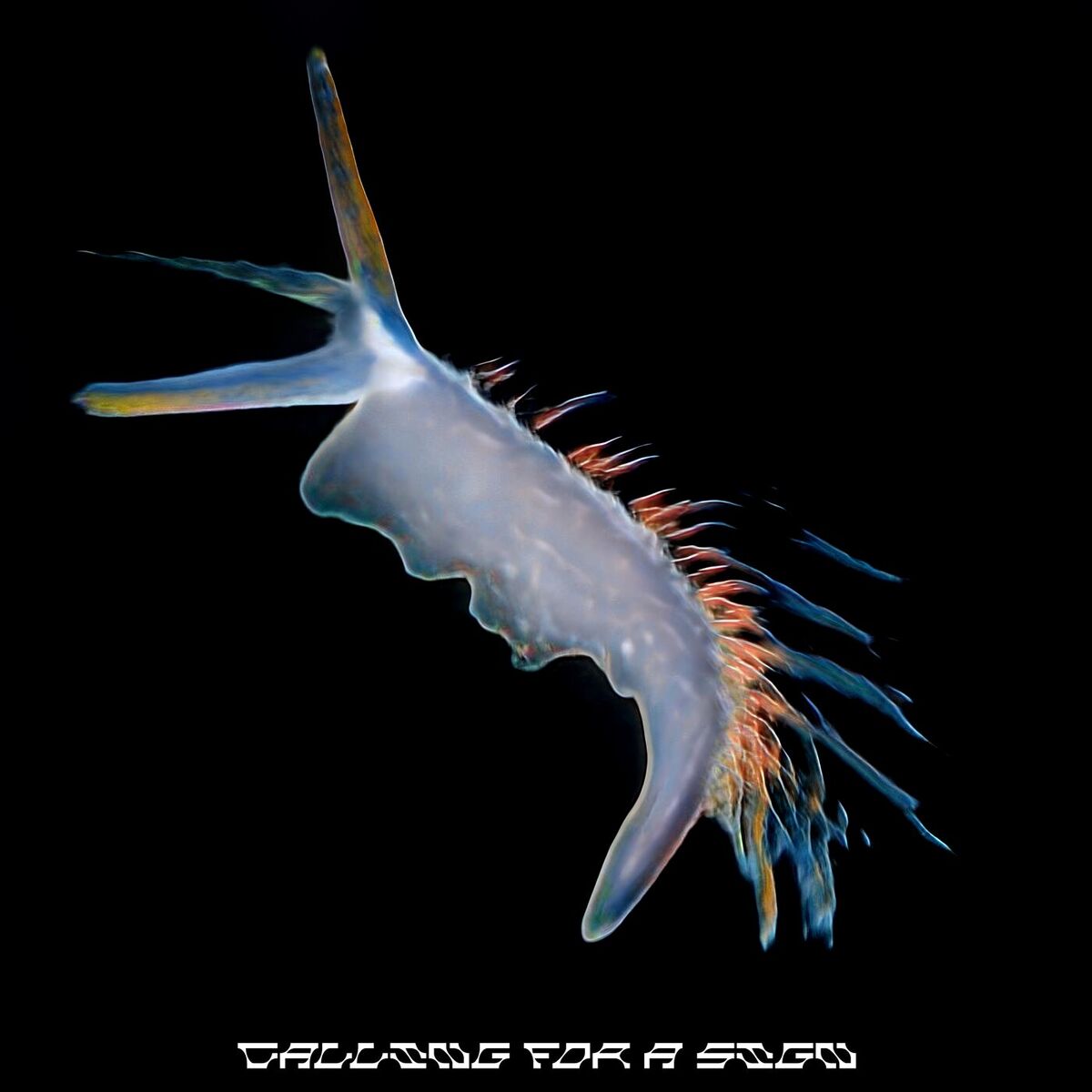 Album cover of Calling For A Sign