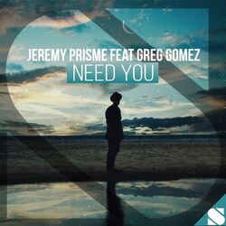 Cover of Need You