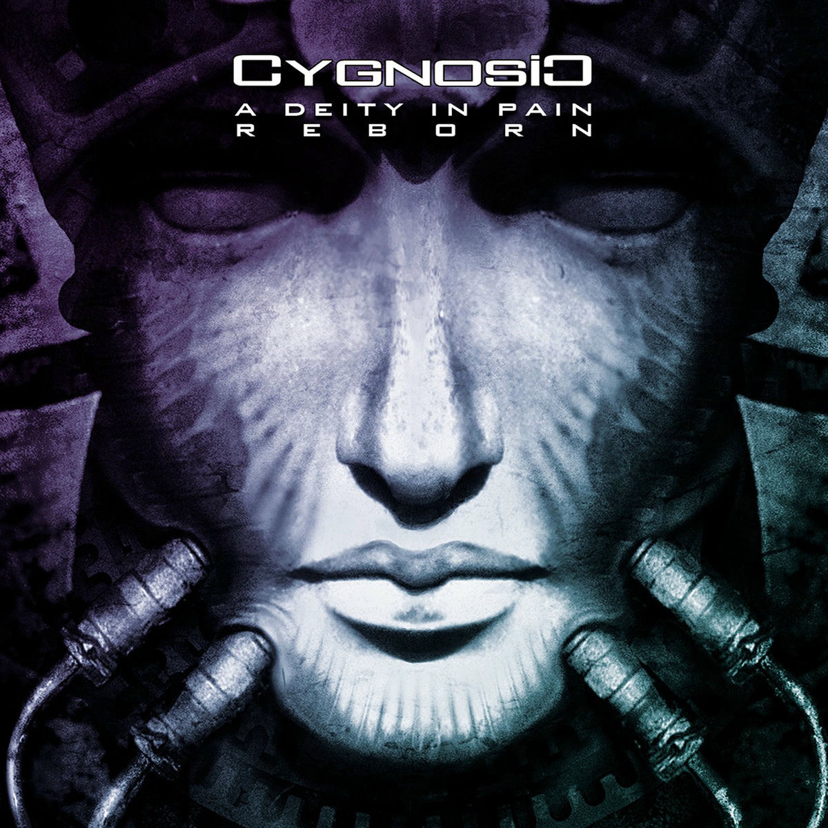 Album cover of A Deity in Pain Reborn