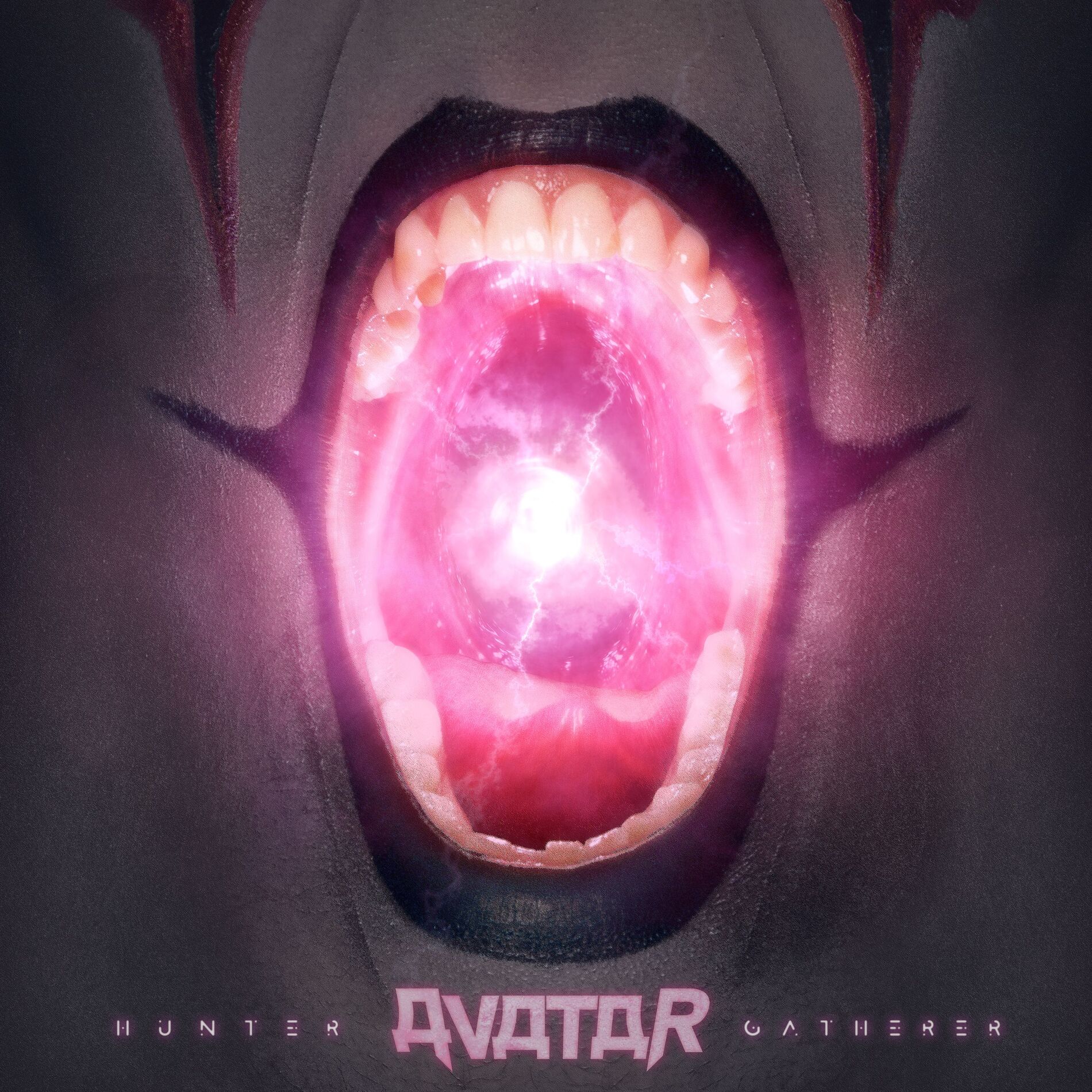 Album cover of Hunter Gatherer