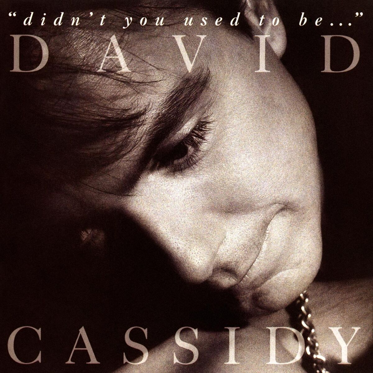 Album cover of Didn't You Used To Be...