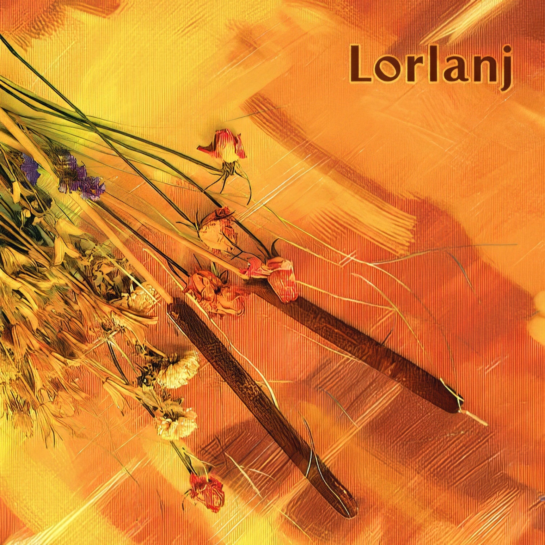 Album cover of Lorlanj