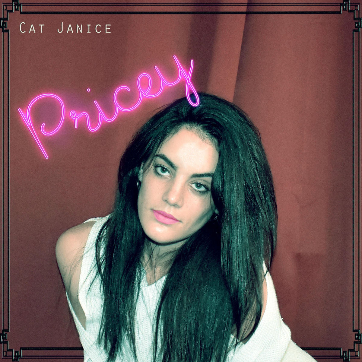 Album cover of Pricey