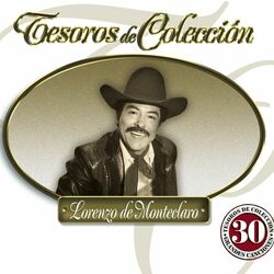 Cover of Tesoros De Coleccion