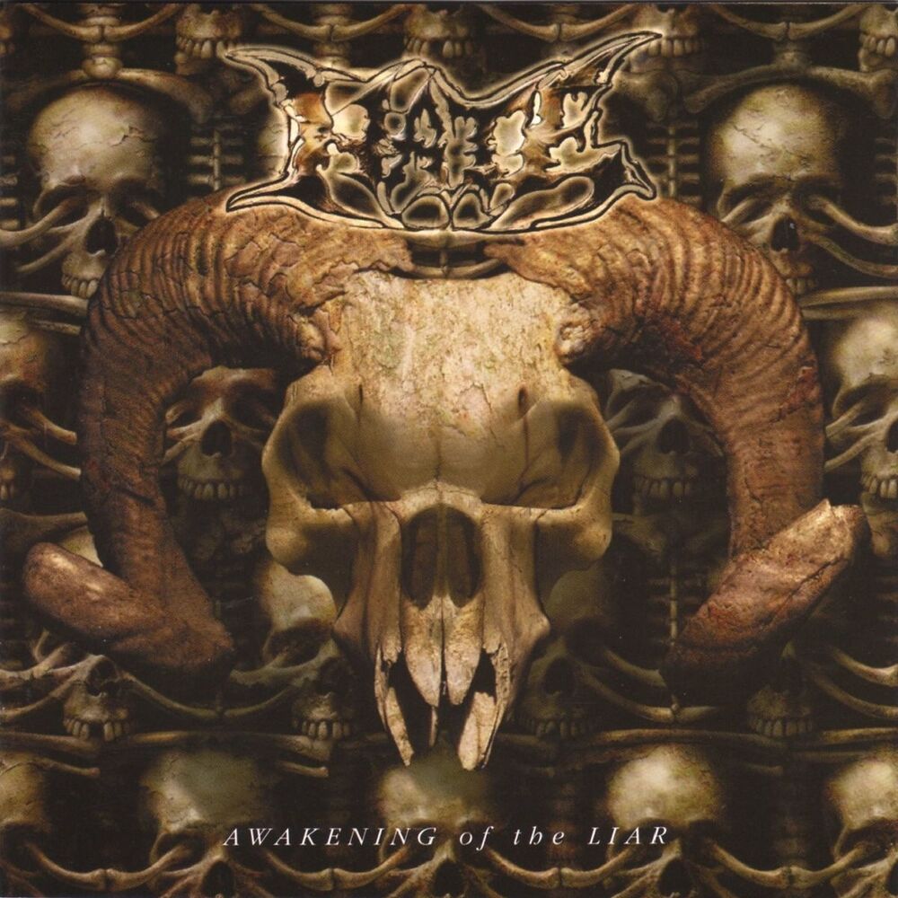 Picture of Awakening of the liar
