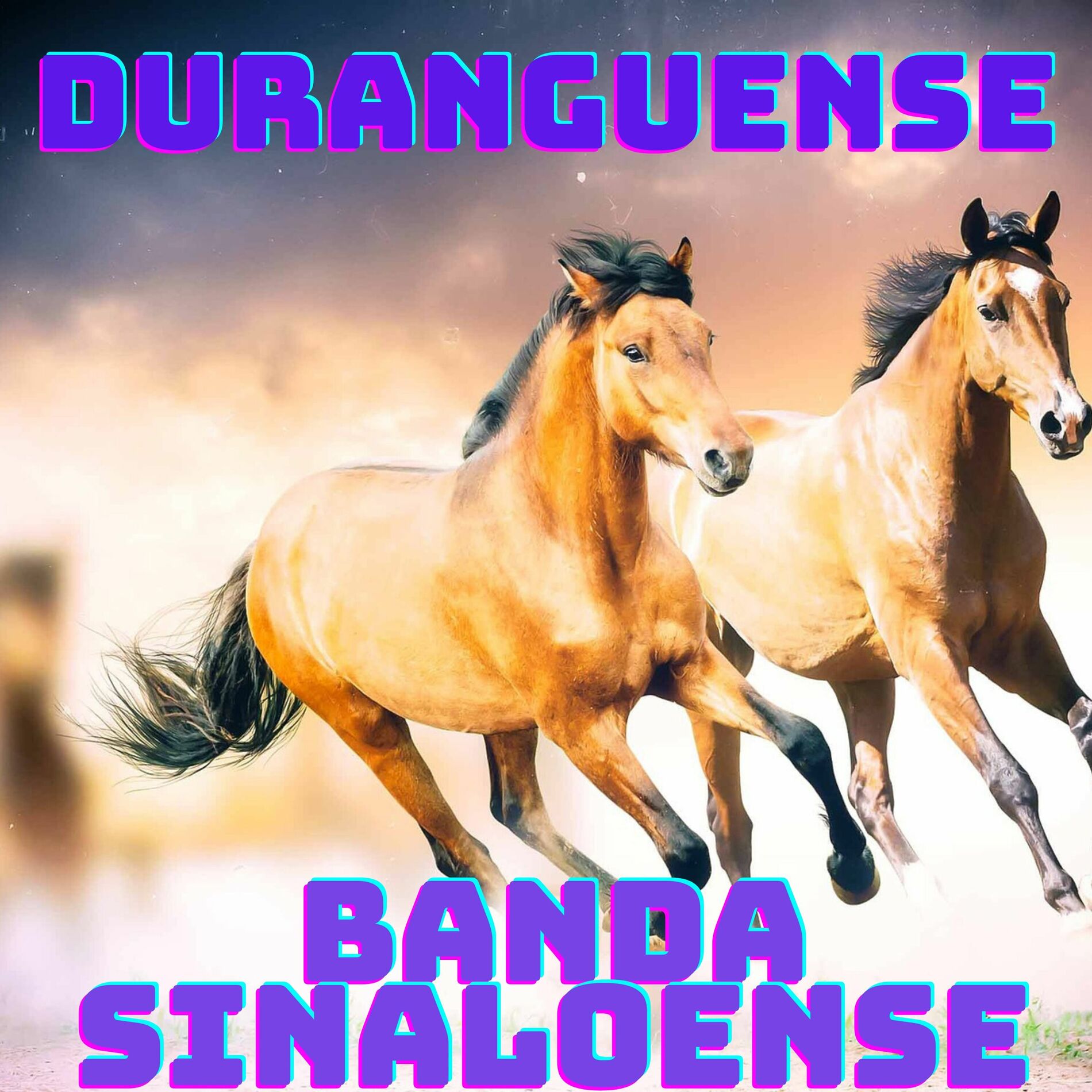 Album cover of Duranguense, Banda Sinaloense