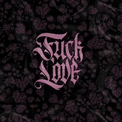Cover of Fuck Love