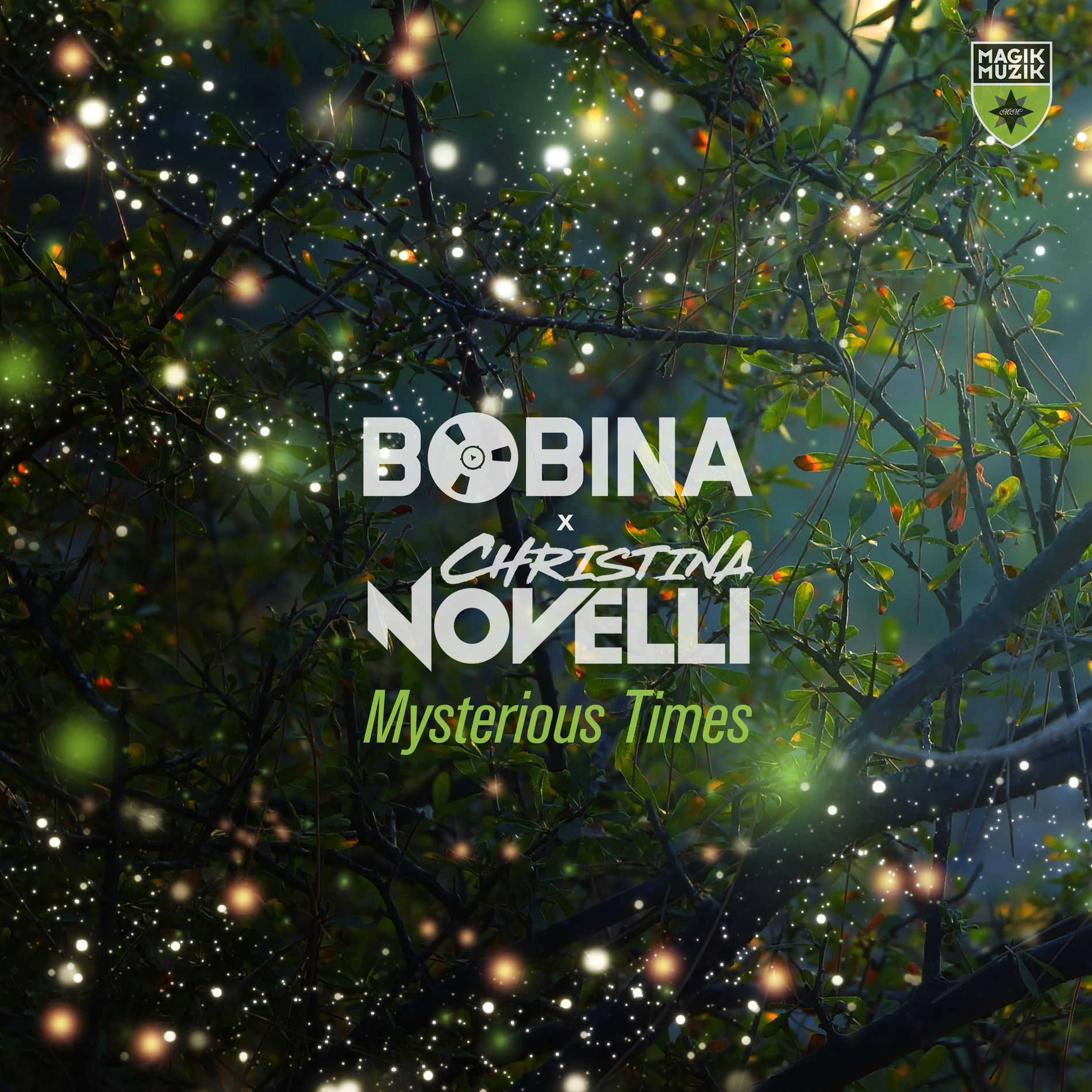 Album cover of Mysterious Times