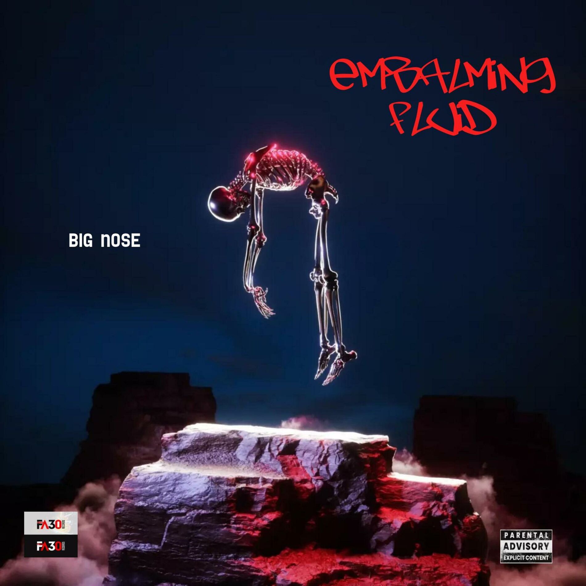 Album cover of EMBALMING FLUID