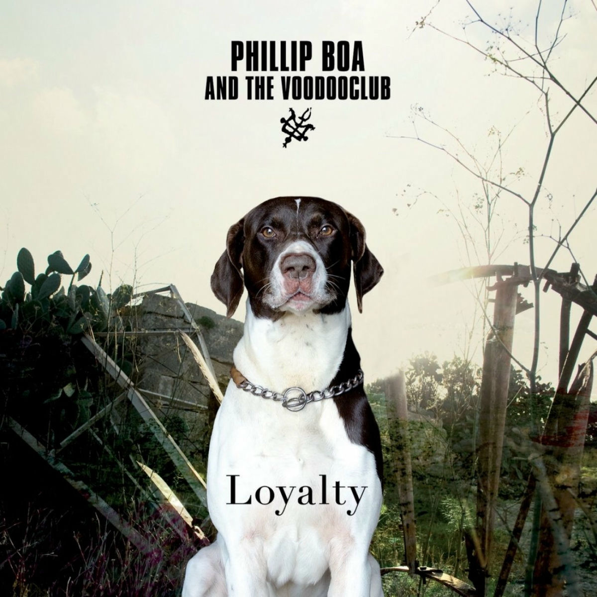 Album cover of Loyalty (10th Anniversary Edition Deluxe Version)