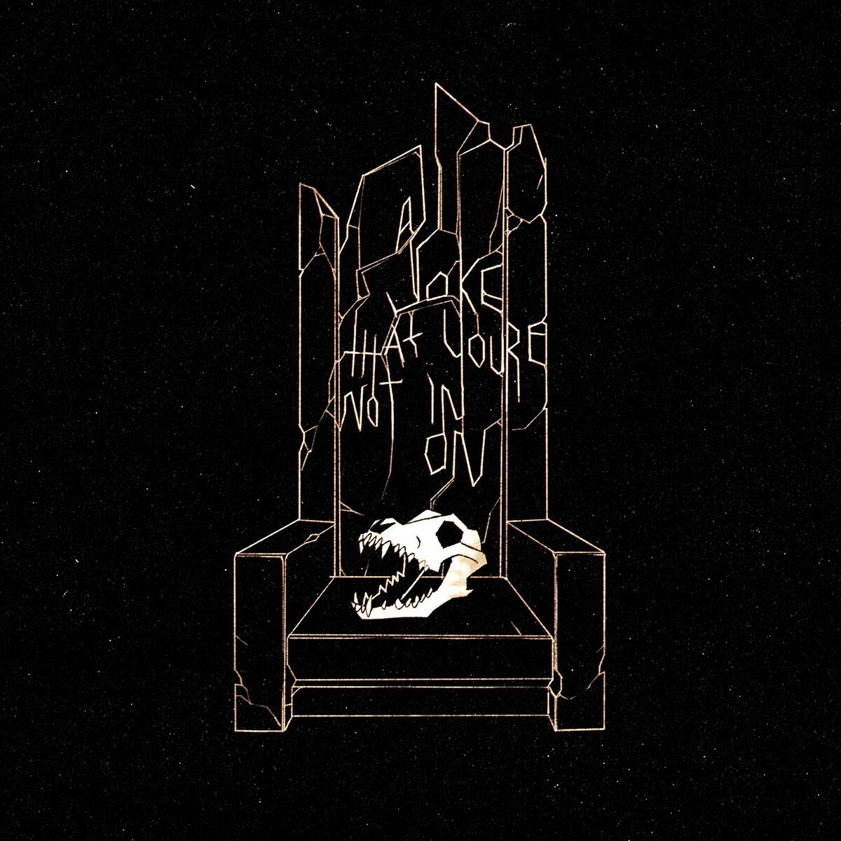 Album cover of A Joke That You're Not in On