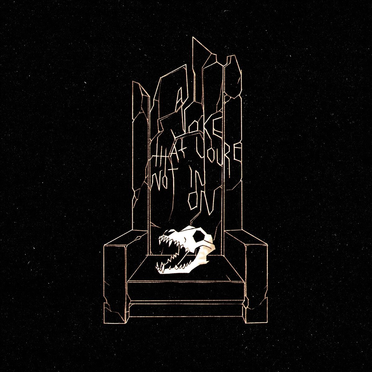 Album cover of A Joke That You're Not in On