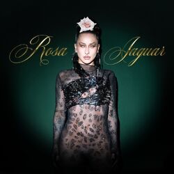 Cover of Rosa Jaguar