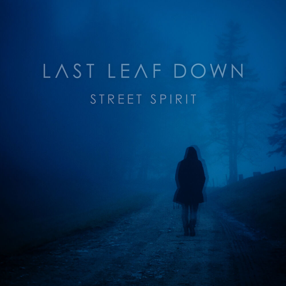 Picture of Street Spirit