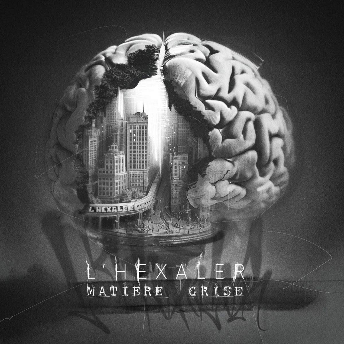 Album cover of Matiere grise