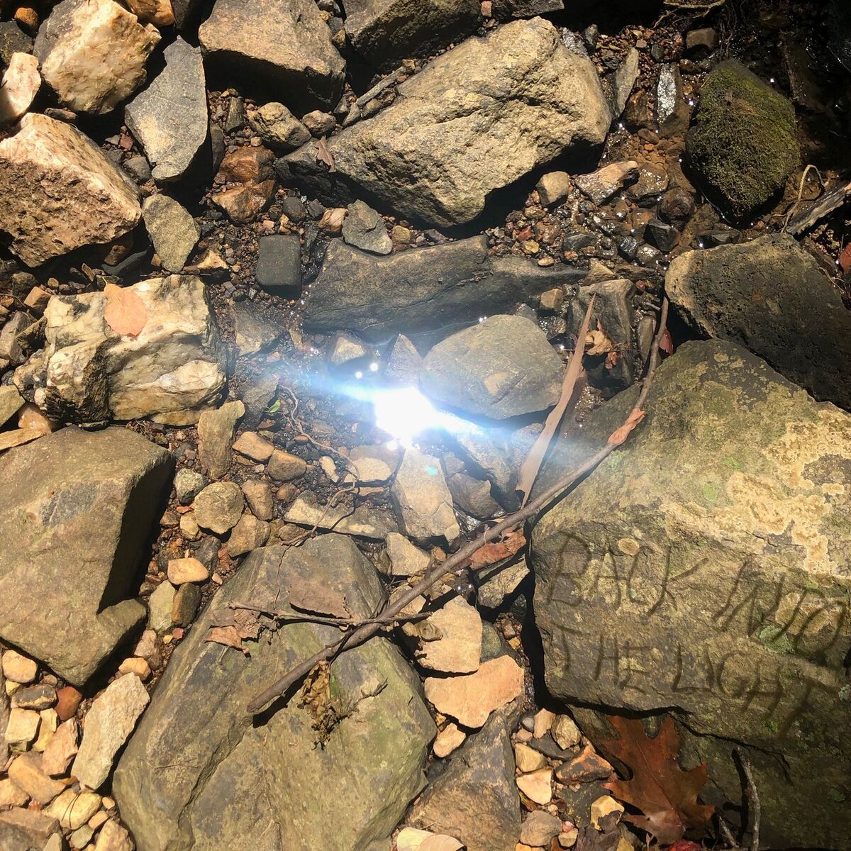 Album cover of Back Into The Light