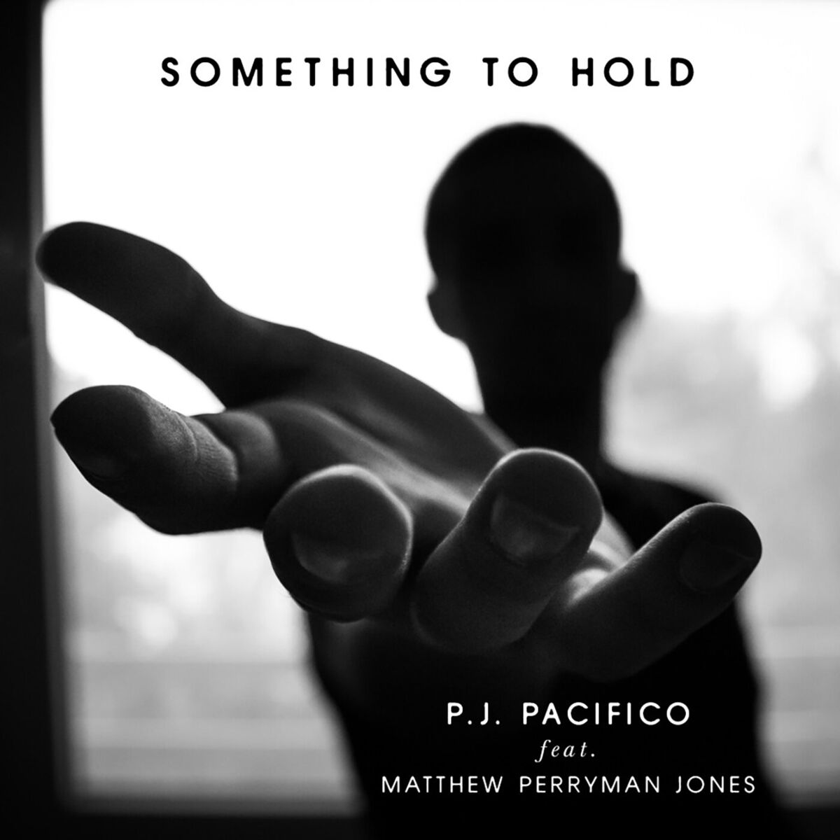 Album cover of Something To Hold