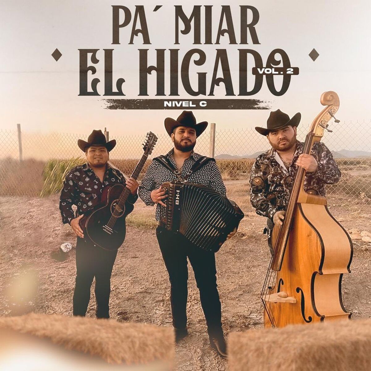 Album cover of Pa' Miar El Higado Vol. 2