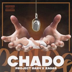 Cover of Chado