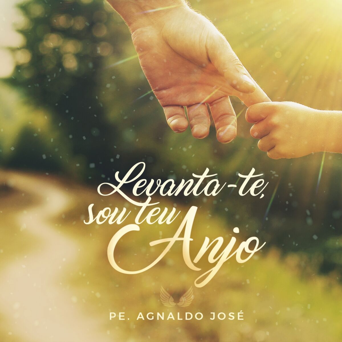 Album cover of Levanta-Te, Sou Teu Anjo