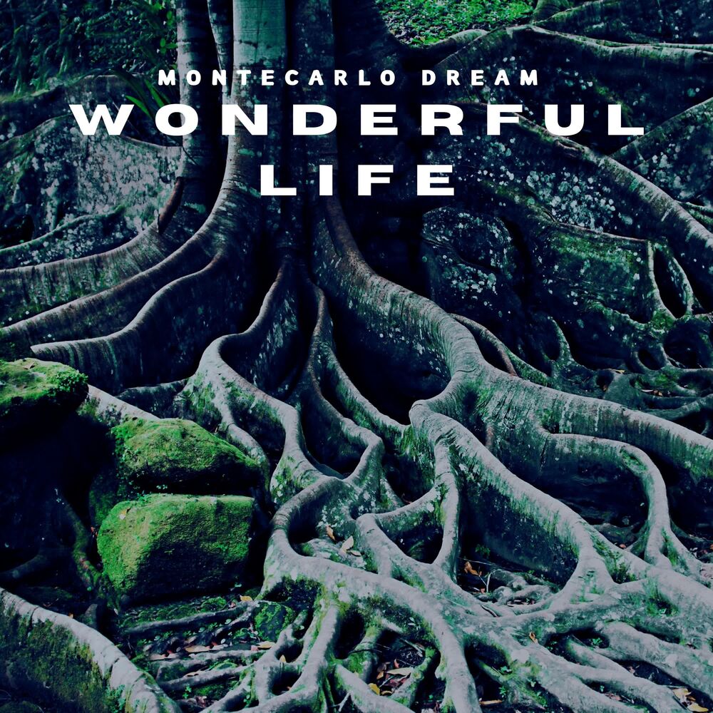 Picture of Wonderful Life