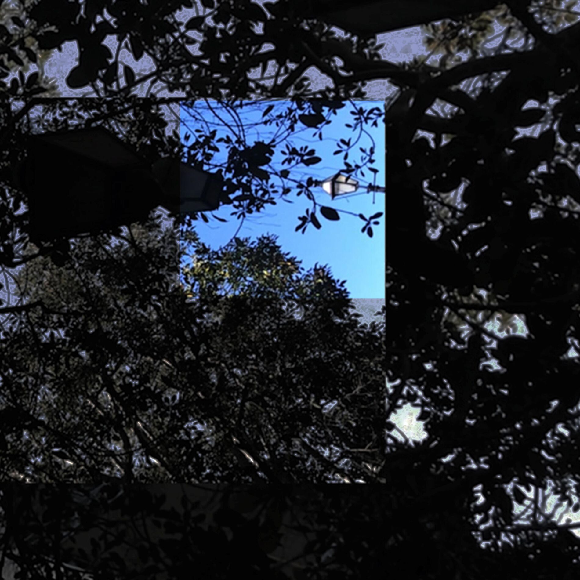 Album cover of Serenade