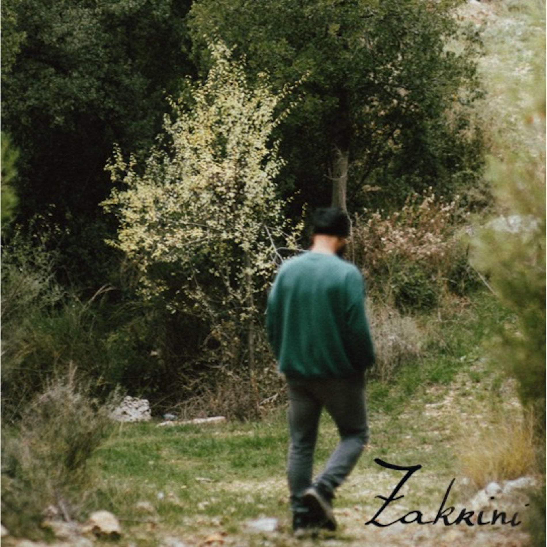 Album cover of Zakrini
