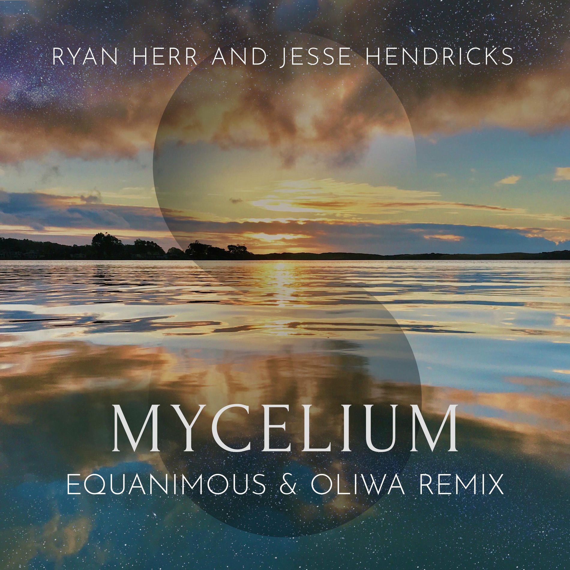 Album cover of Mycelium (feat. Tropo) [Equanimous & Oliwa Remix]