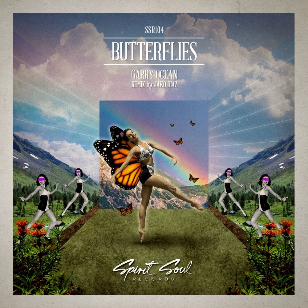 Picture of Butterflies