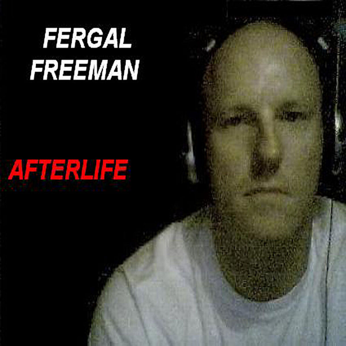 Album cover of Afterlife