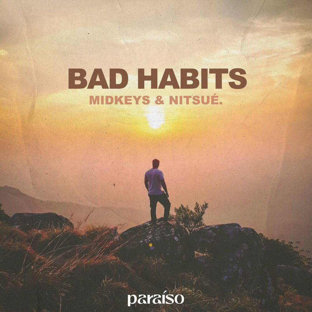 Picture of Bad Habits