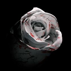 Cover of Romantic Homicide