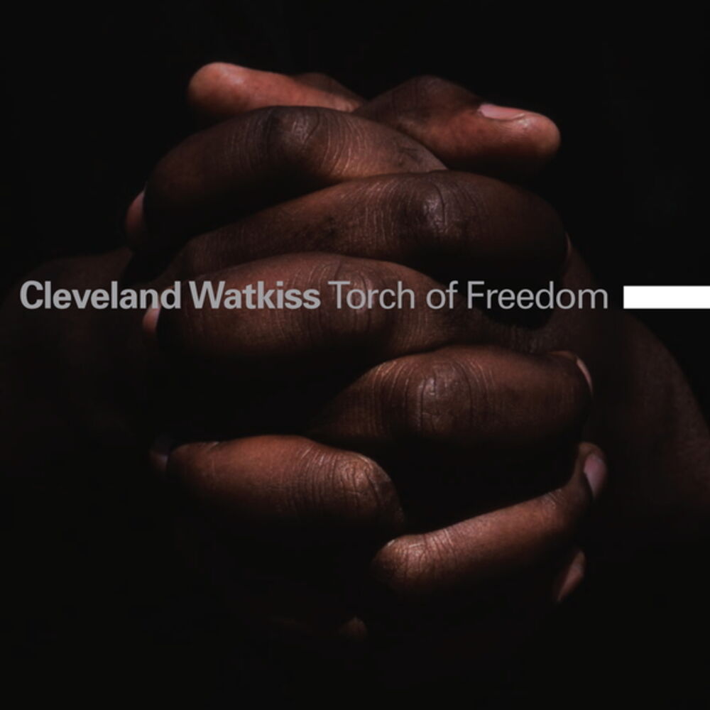 Picture of Torch of Freedom