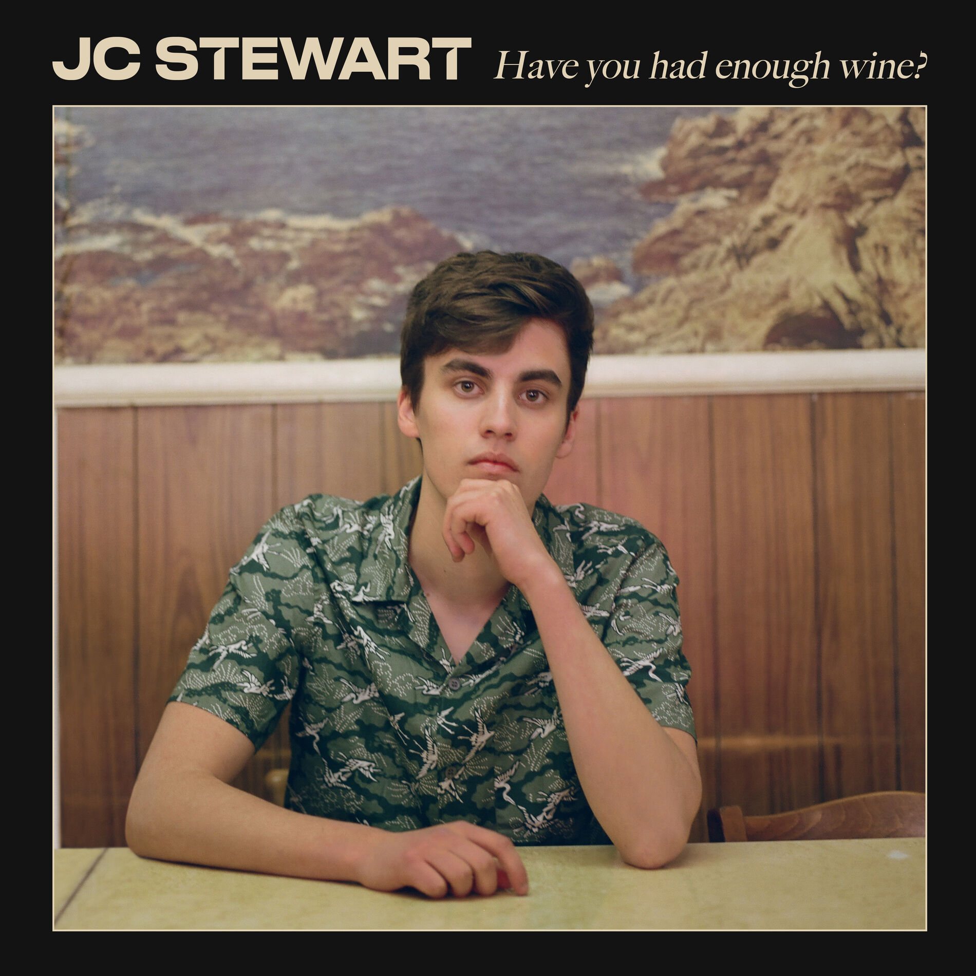 Album cover of Have You Had Enough Wine?