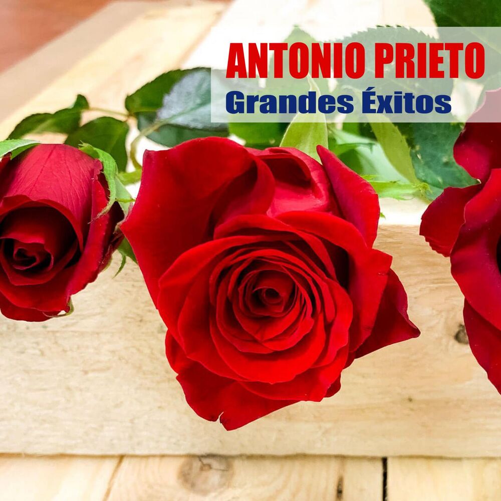 Picture of Grandes Éxitos