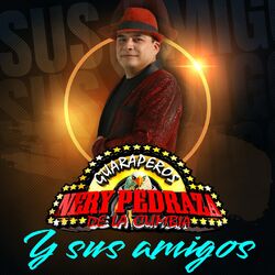 Cover of Nery Pedraza Y Sus Amigos