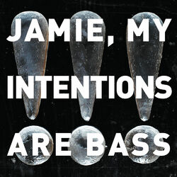 Cover of Jamie, My Intentions Are Bass