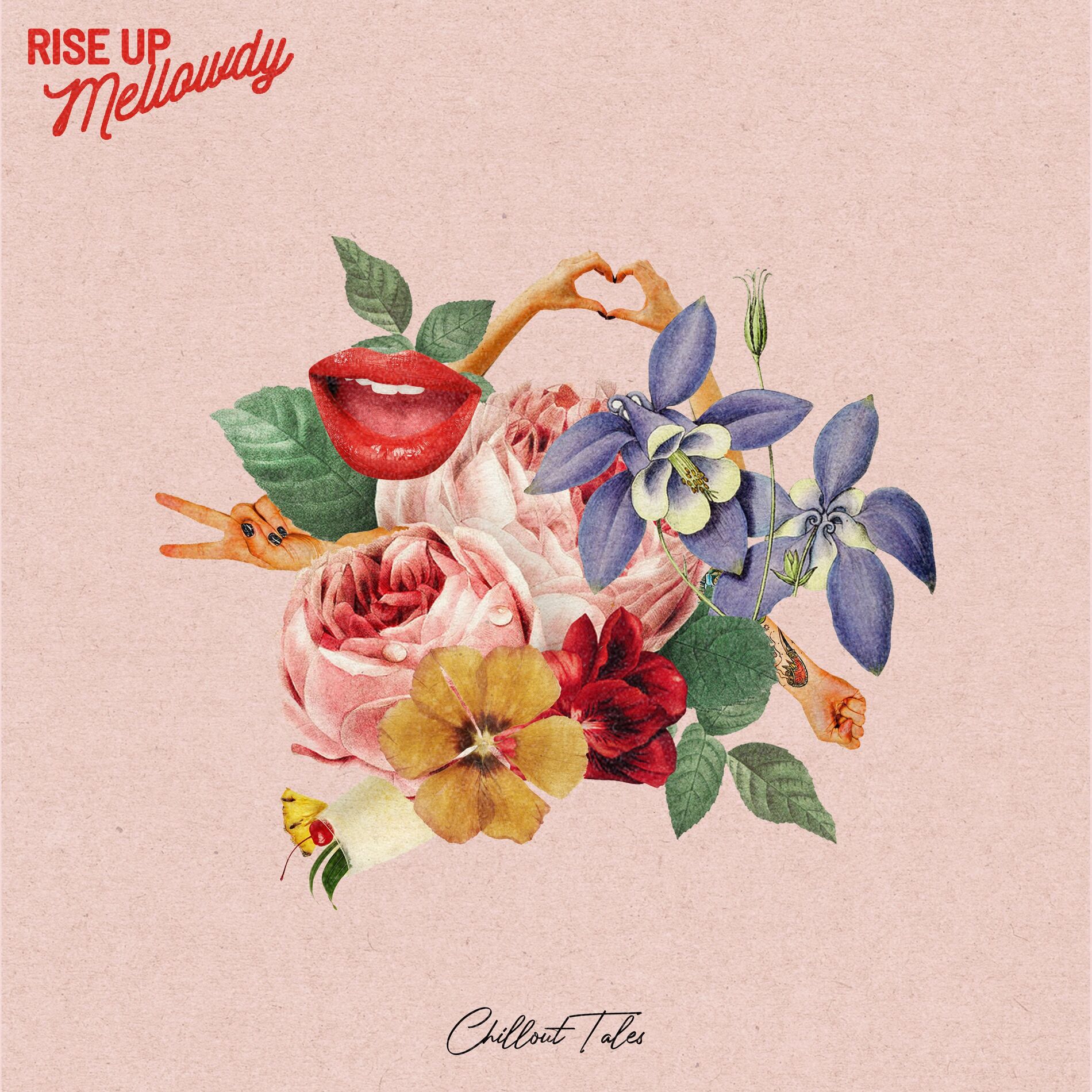 Album cover of Rise Up
