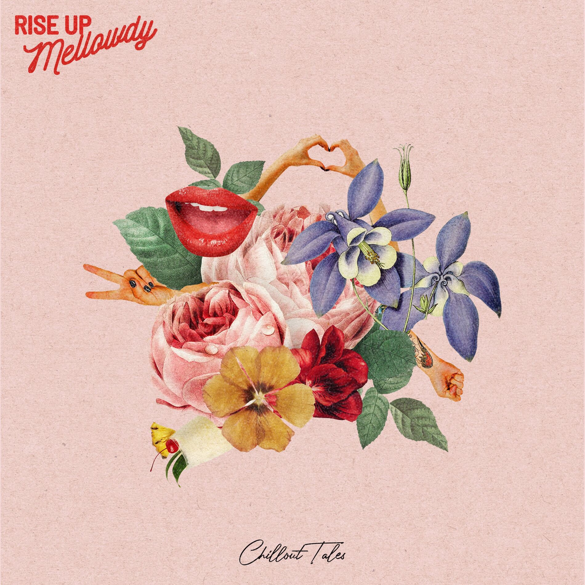 Album cover of Rise Up