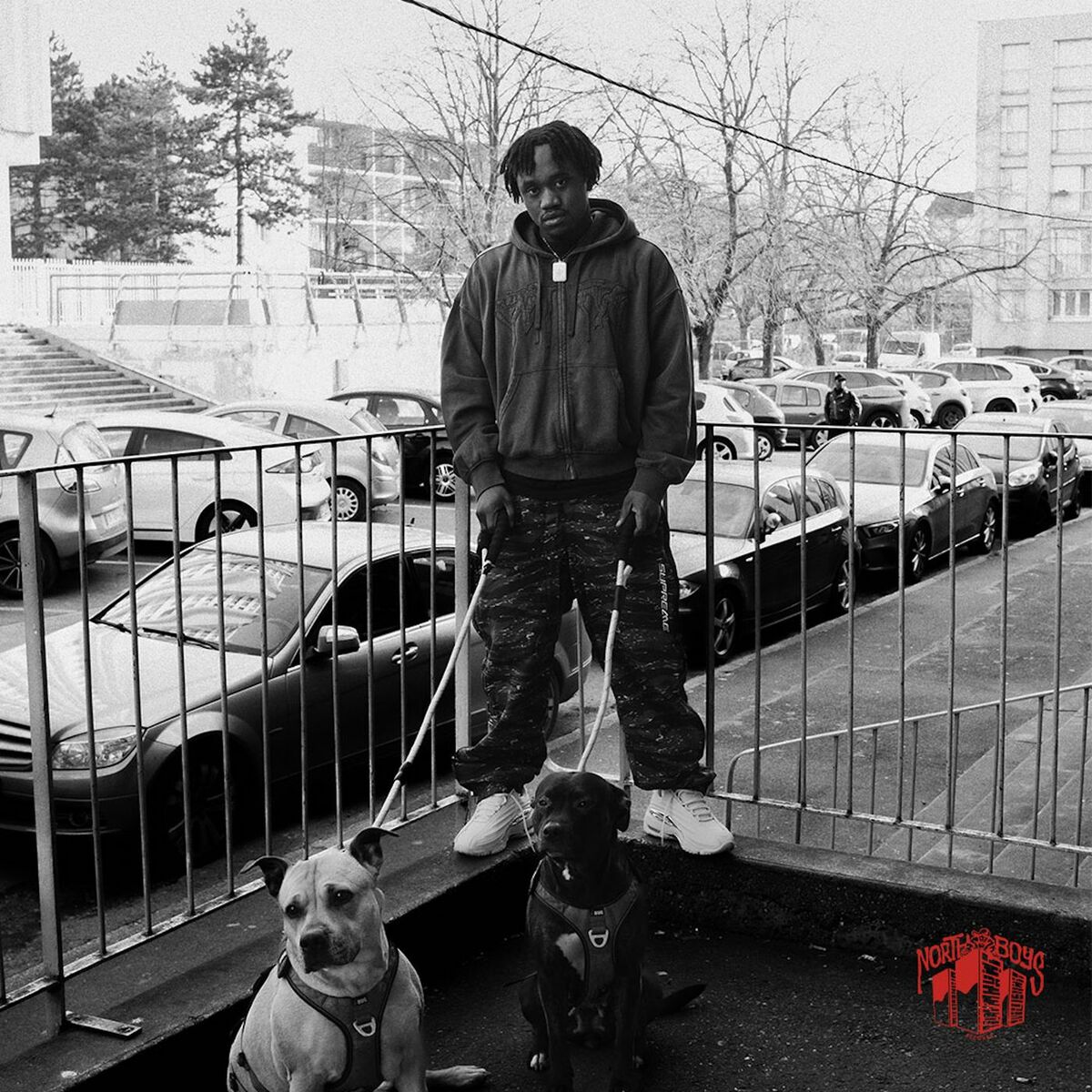 Album cover of PAIN & GAIN