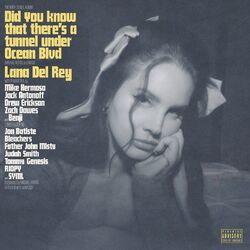 Cover of Did you know that there's a tunnel under Ocean Blvd