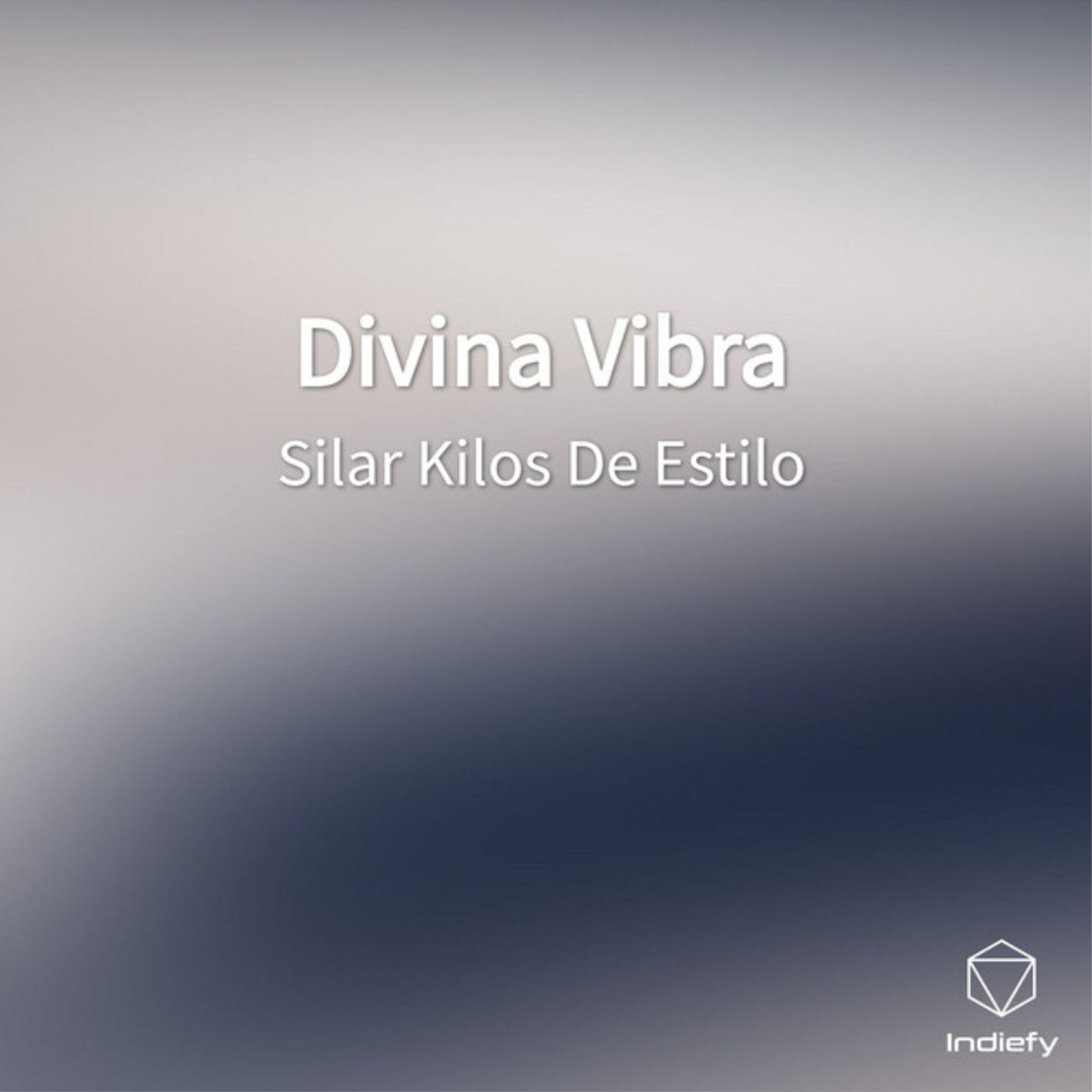 Album cover of Divina Vibra