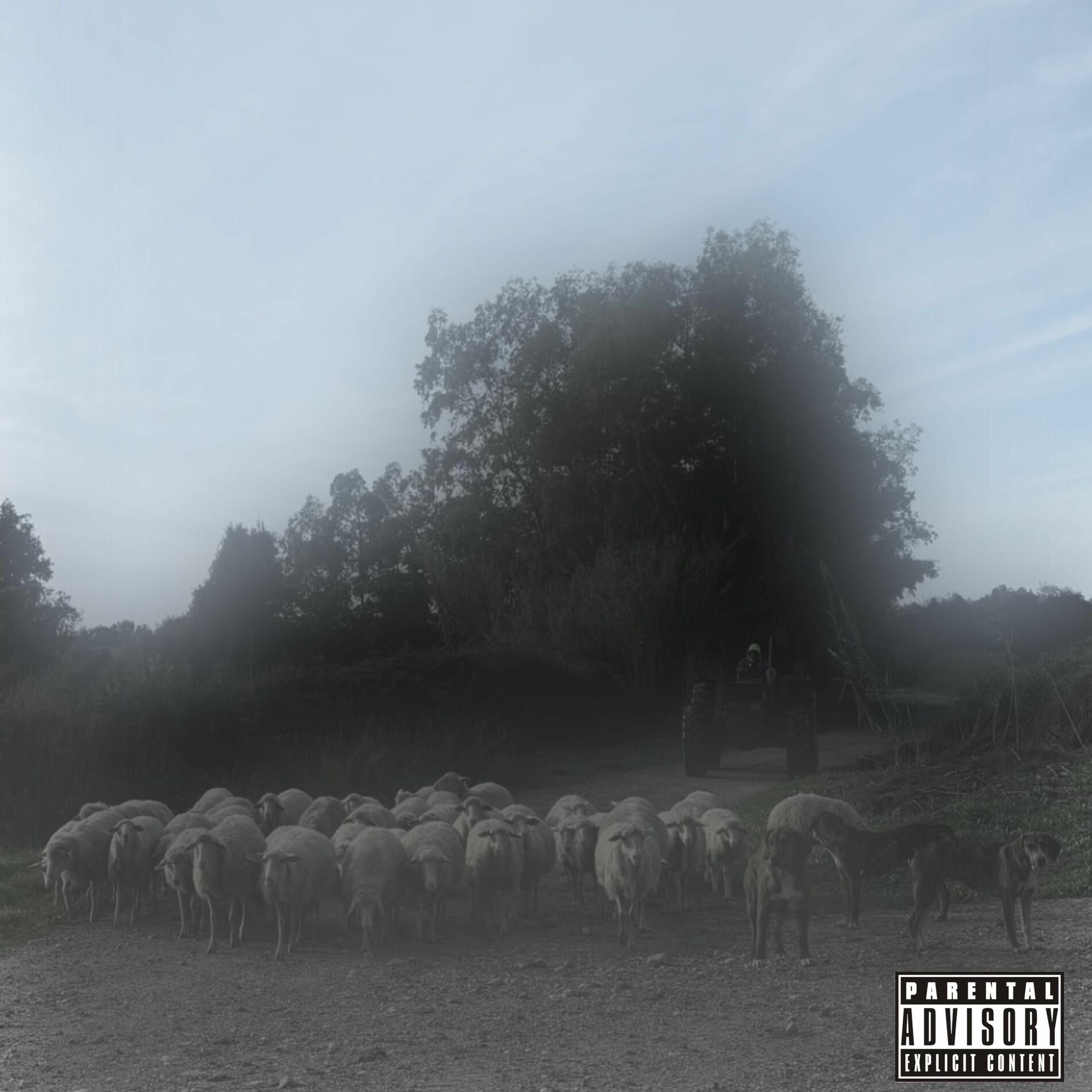 Album cover of SHEEP