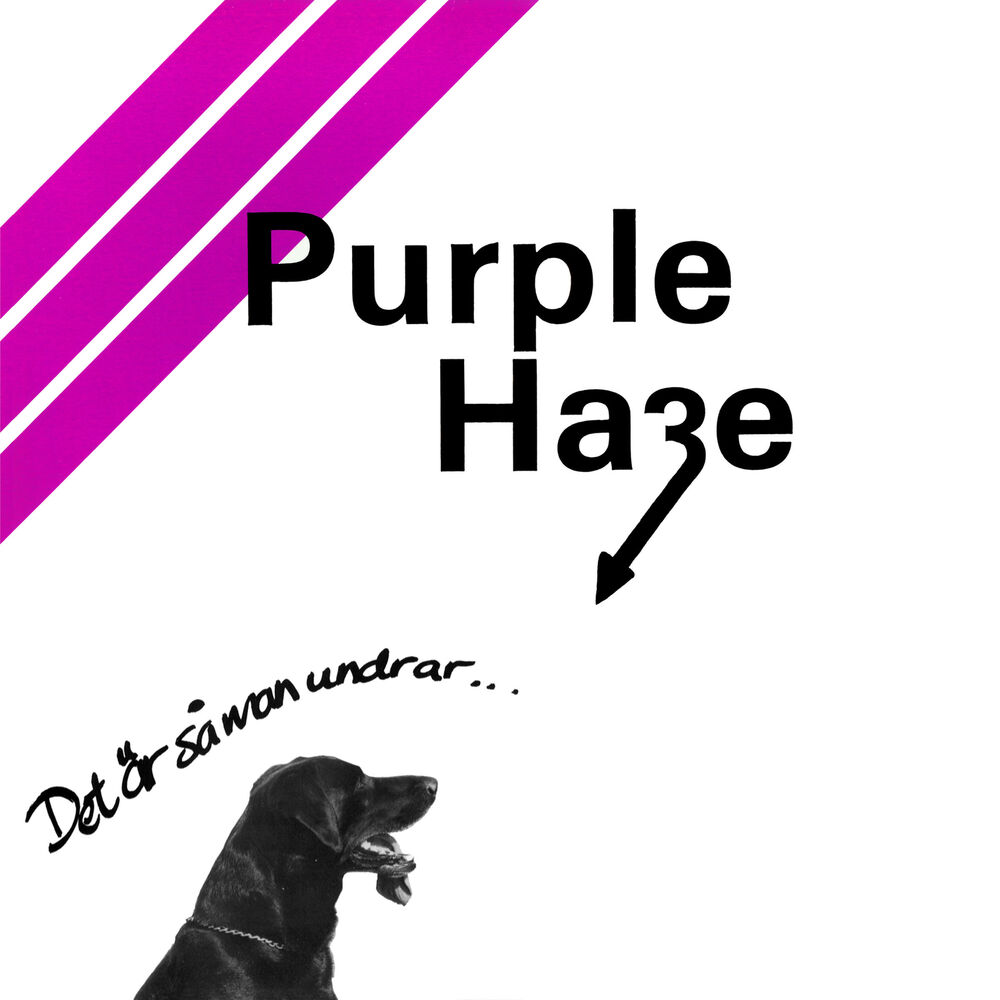 Picture of Det Är Så Man Undrar